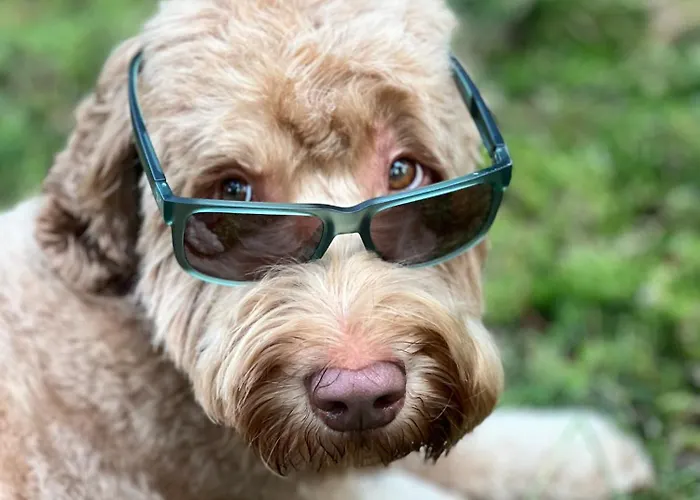 Роскошный шатер De Berber